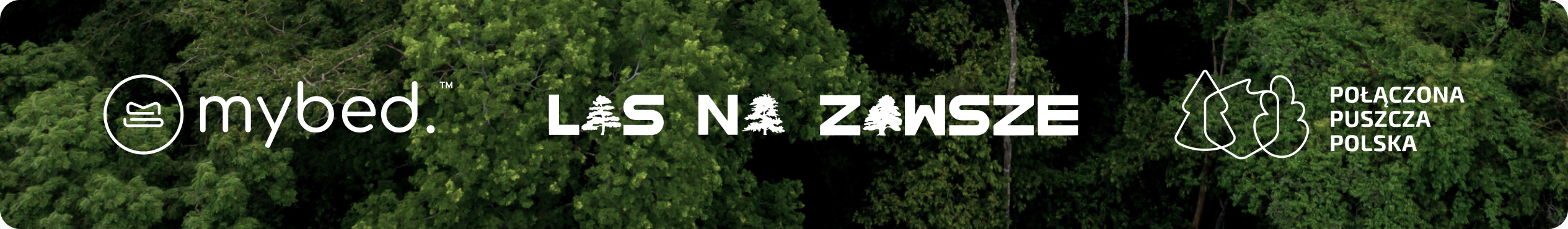 las na zawsze - baner